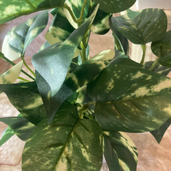 光触媒　人工観葉植物　ウォールグリーン　フェイクグリーン　3種白プラajmd 7枚目の画像