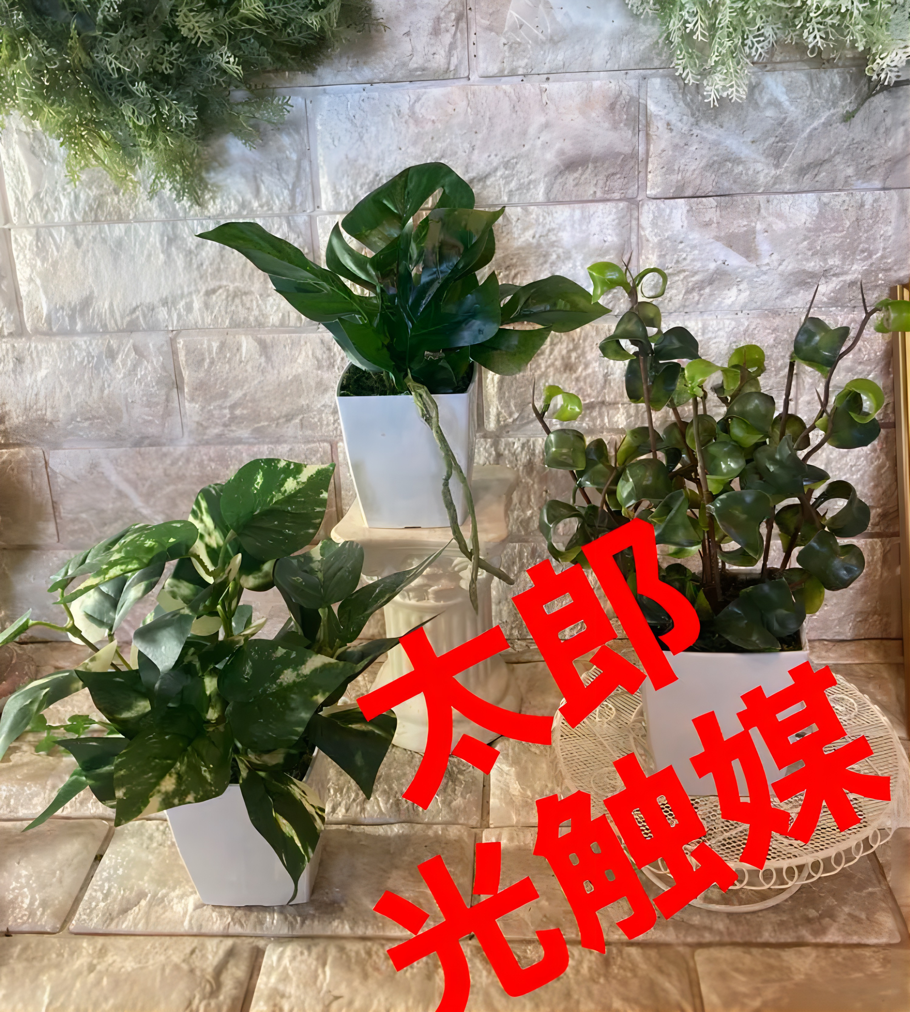 光触媒 人工観葉植物 ウォールグリーン フェイクグリーン 3種白
