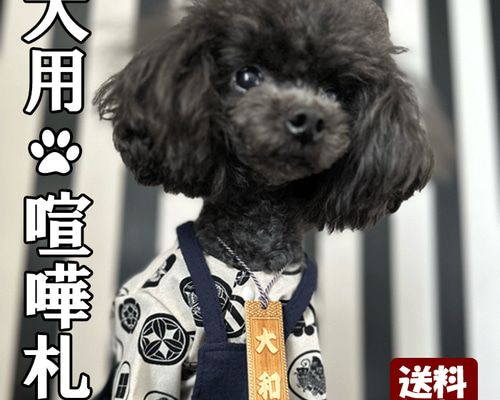 犬用猫用 お名前入り♡親子こいのぼりチャーム 犬用 ワンちゃん用 猫 木札 喧嘩札 ネックレス 首掛け タグ 名入れ