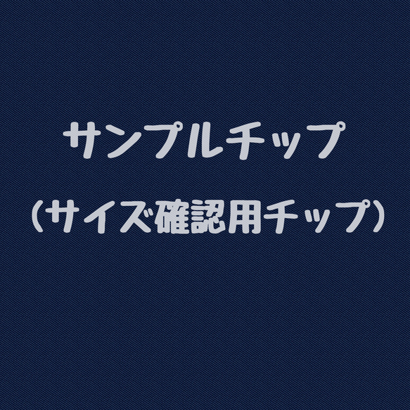 サイズ確認用チップ 1枚目の画像