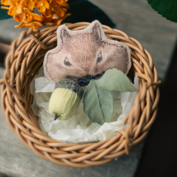 くいしんぼう シマリス さん とドングリ ブローチ　（緑ドングリ） 10枚目の画像