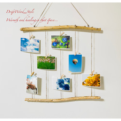流木インテリア 自由に写真を飾れるフォトディスプレイ 流木 写真ハンガー ウォールデコ 壁掛け N4 1枚目の画像
