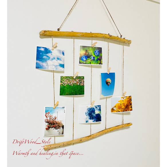 流木インテリア 自由に写真を飾れるフォトディスプレイ 流木 写真ハンガー ウォールデコ 壁掛け N4 4枚目の画像