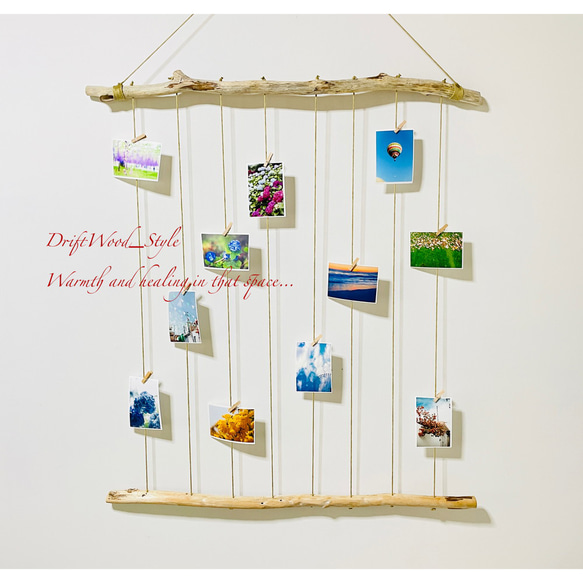 流木インテリア 壁一面に写真を飾れる特大サイズのフォトディスプレイ