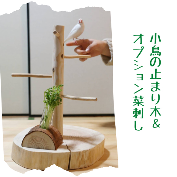 卓上 小鳥の止まり木 高さ30cm【差し込みタイプ】 おもちゃ・ペット