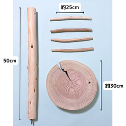 卓上　小鳥の止まり木　高さ50ｃｍ【差し込みタイプ】 4枚目の画像