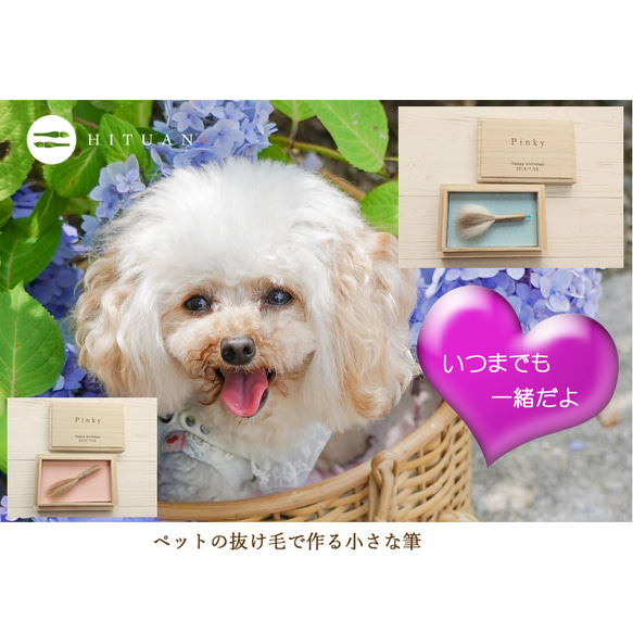 ペットの抜け毛でつくる小さな筆【ペットの毛 ペット遺毛  ペットメモリアル ペット形見 愛犬 愛猫 馬兎 筆庵】送料無料 2枚目の画像