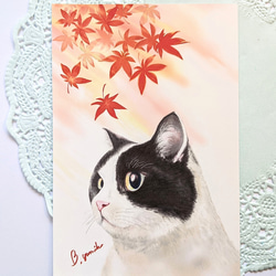 紅葉と猫 (３枚セット) 4枚目の画像