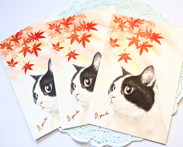 紅葉と猫 (３枚セット) 3枚目の画像
