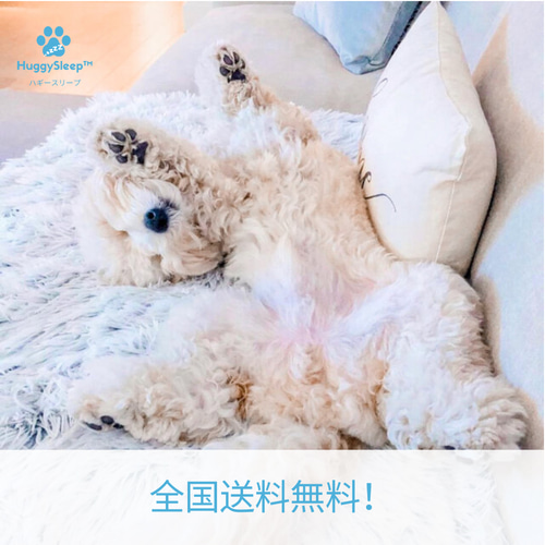 癒しのブランケット】犬用ブランケット、猫用ブランケット、犬用