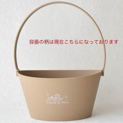 実物大サイズ！年中咲き誇り水やり不要《枯れないハーブの寄せ植えガーデン》送料無料＊Creema限定 14枚目の画像