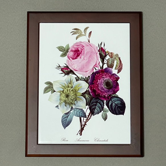 ルドゥーテ 植物画 ボタニカルアート バラ・アネモネ
