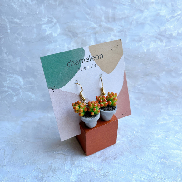 多肉植物の鉢植えピアス・イヤリング（オーロラ/グレー） 2枚目の画像