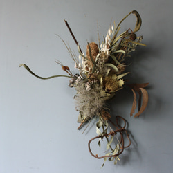 220【ドライフラワー変形リース】バンクシア、アカシア、渋系 ドライ