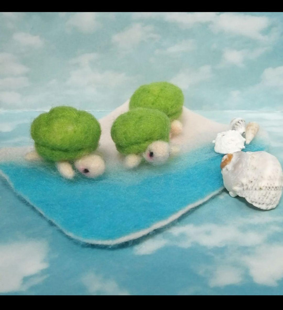 羊毛フェルト　ウミガメ 2枚目の画像