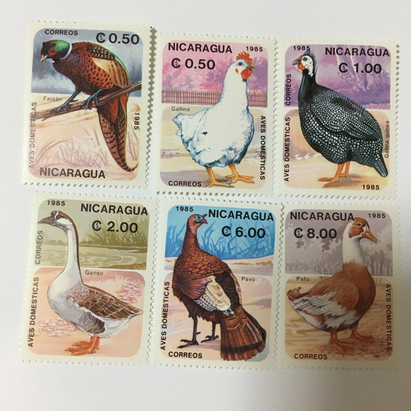 ニカラグア  家禽類の切手6枚セット 未使用 1枚目の画像