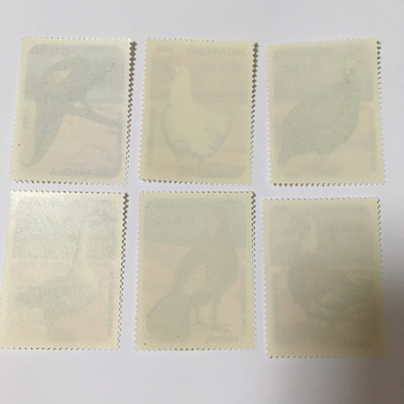 ニカラグア  家禽類の切手6枚セット 未使用 2枚目の画像