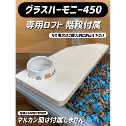 ハムスター グラスハーモニー600 カジカジ カミカミ防止ロフト