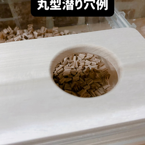 ハムスター グラスハーモニー450専用正面カジり防止ロフト 階段