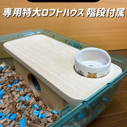 もも　ハムスター　ルーミィ用　ロフト　外部階段 ハムスター ルーミィ450専用特大ロフトハウス 階段付属 ハウス