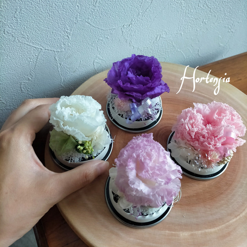 仏花、お供え花、薄紫アネモネ、トルコキキョウ 小さなお供え花 Sトルコキキョウ ヒューネラル ドーム 仏花