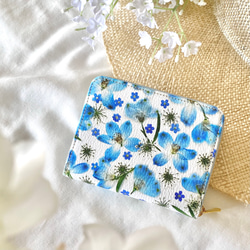 c7a6e284f908e9da9d53440c024250