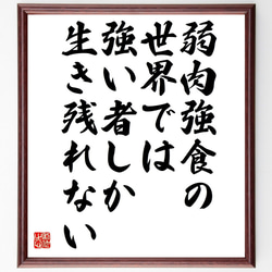 名言「弱肉強食の世界では、強い者しか生き残れない」額付き書道色紙／受注後直筆（V4834) 1枚目の画像