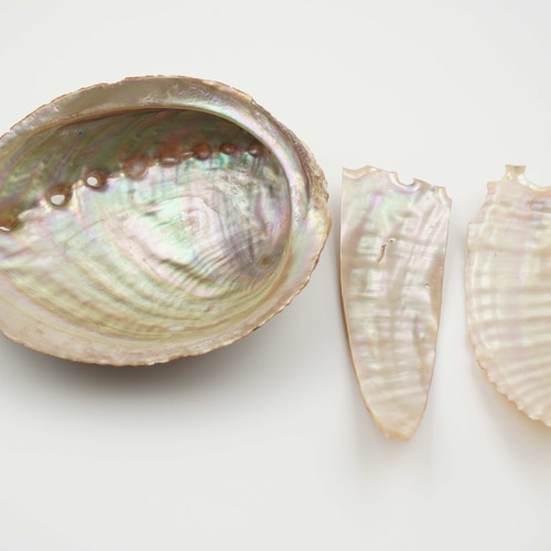 螺鈿 花鳥図 姫鏡 （葡萄に燕） 手鏡 武蔵川工房 通販 16239232