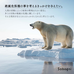 ★エシカルレザーSobagni(ソバニ)★おしゃれでシュールな動物イラストトート。★ホッキョクグマ 5枚目の画像