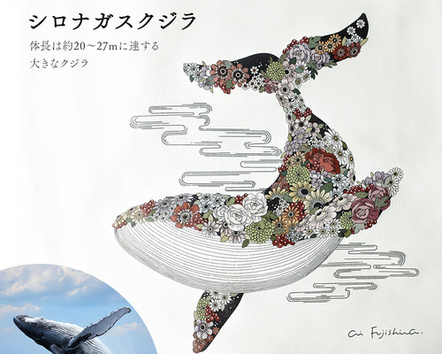 0171708f4b558899f387e4b08f1f13