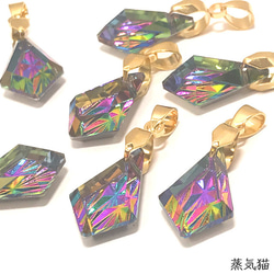 銀貨】庭猫 フィジー 2022年 1オンス シルバーコイン カラー版【純銀