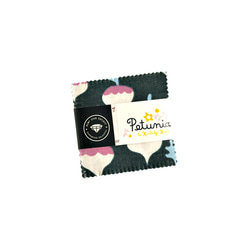 USAコットン RUBY STAR SOCIETY mini charm 42枚セット Petunia 1枚目の画像