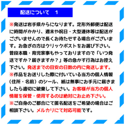 【9/16更新】ご購入前に　はじめにお読み下さい。 6枚目の画像