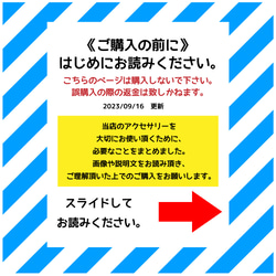 【9/16更新】ご購入前に　はじめにお読み下さい。 1枚目の画像