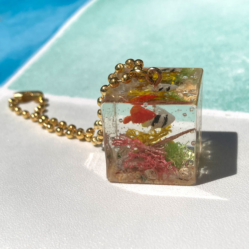 特価】ｷｰﾎﾙﾀﾞｰｸﾞﾘｯﾀｰ 熱帯魚 | 智光法人向けオンラインショップ