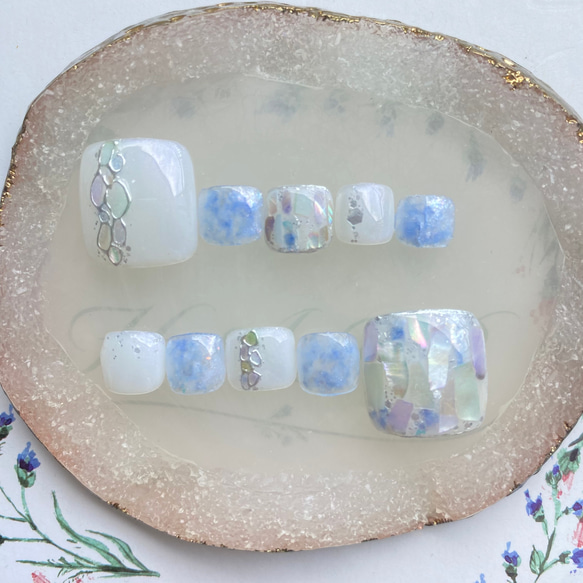 フット】ブルーシェル フットネイルチップ