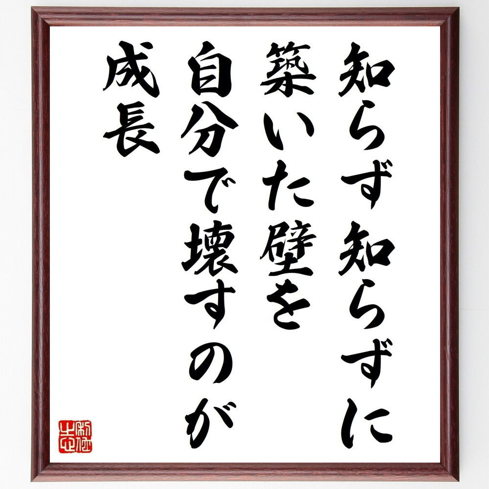 名言「知らず知らずに築いた壁を自分で壊すのが成長」手書き書道色紙額／受注後の毛筆直筆（V4980）
