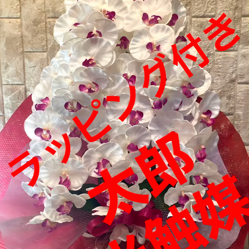 光触媒 人工観葉植物 ウォールグリーン フェイクグリーン 胡蝶蘭9362 