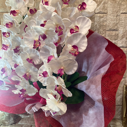 光触媒 人工観葉植物 ウォールグリーン フェイクグリーン 胡蝶蘭10本立