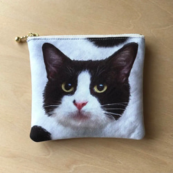 ファスナー開けても毛並みのポーチ ハチワレ猫 A ポーチ