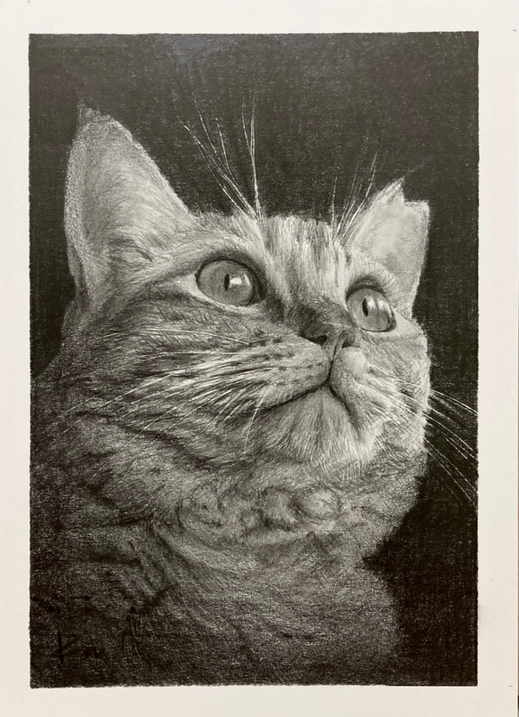 オーダーメイド　サンプル　猫の絵　鉛筆画 1枚目の画像