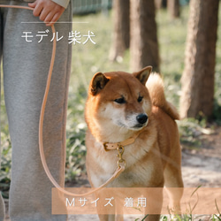 犬 リード カフェリード シンプルな美しさ イタリアンレザー 小型犬 中型犬 大型犬 13枚目の画像