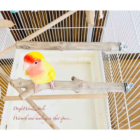 流木インテリア ２個セット バードケージ用の天然流木の止まり木 鳥かご ケージ ニームパーチ インコ とまり台 N7 2枚目の画像