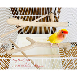 流木インテリア ２個セット バードケージ用の天然流木の止まり木 鳥かご ケージ ニームパーチ インコ とまり台 N8 2枚目の画像