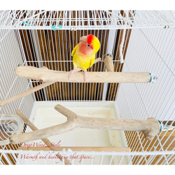流木インテリア ２個セット バードケージ用の天然流木の止まり木 鳥かご ケージ ニームパーチ インコ とまり台 N8 3枚目の画像