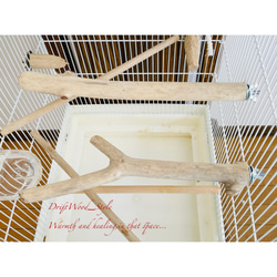 流木インテリア ２個セット バードケージ用の天然流木の止まり木 鳥かご ケージ ニームパーチ インコ とまり台 N8 4枚目の画像