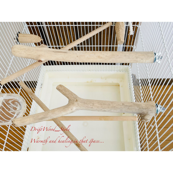 流木インテリア ２個セット バードケージ用の天然流木の止まり木 鳥かご ケージ ニームパーチ インコ とまり台 N8 4枚目の画像