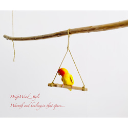 流木インテリア  シンプルな天然流木の小鳥の止まり木 吊り下げタイプ インコ 鳥 ブランコ 自然木 No.10 4枚目の画像
