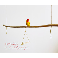 流木インテリア  シンプルな天然流木の小鳥の止まり木 吊り下げタイプ インコ 鳥 ブランコ 自然木 No.10 3枚目の画像
