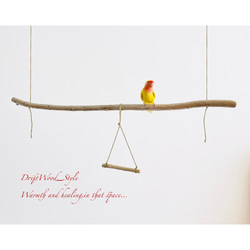 流木インテリア  シンプルな天然流木の小鳥の止まり木 吊り下げタイプ インコ 鳥 ブランコ 自然木 No.10 1枚目の画像